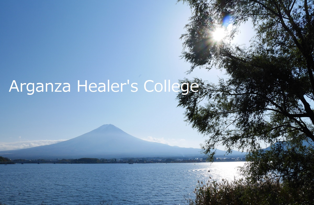 healer's college
